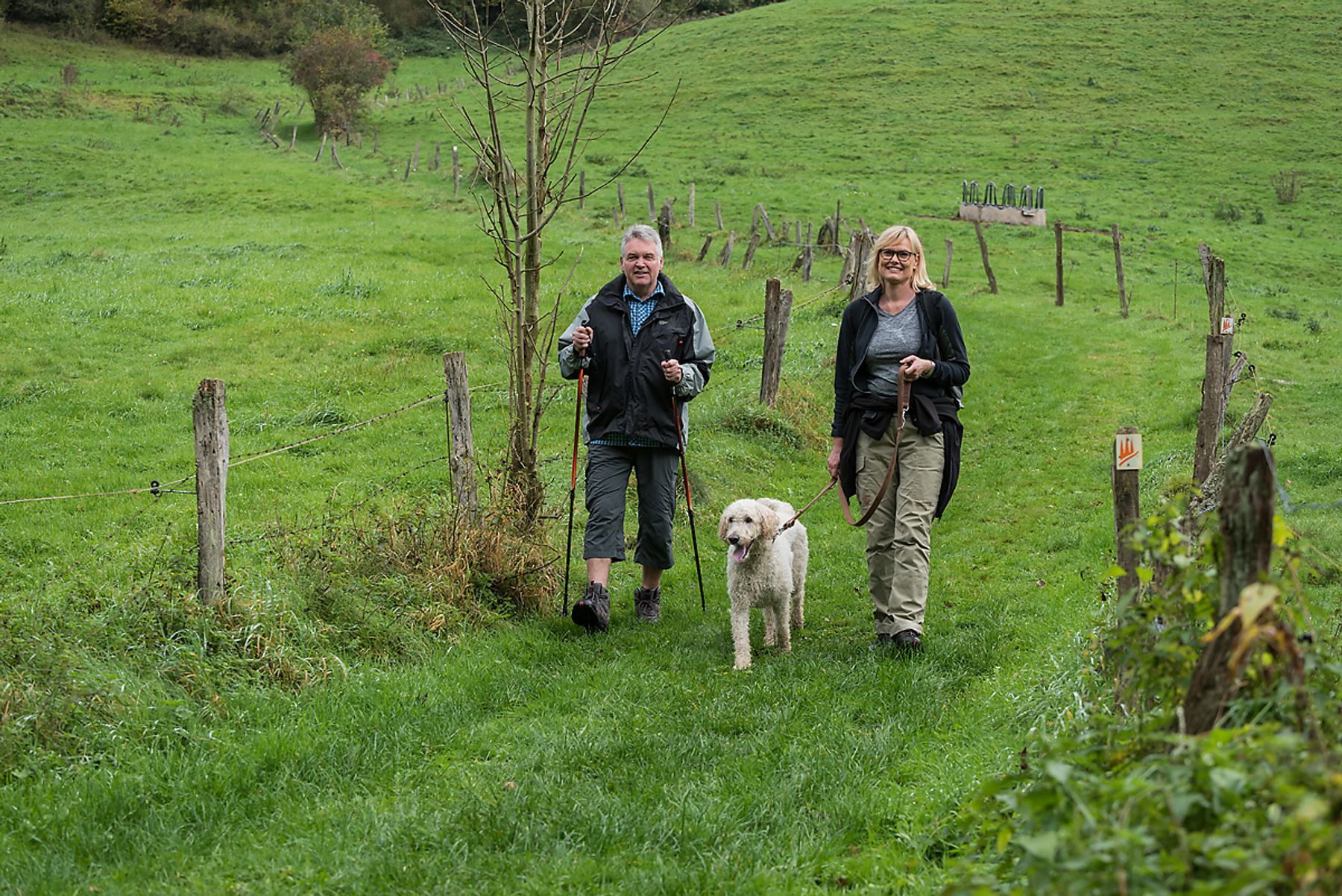 Two adults walk on a grassy path through the countryside, one holding hiking poles and the other walking a large, curly-haired dog on a leash. Fences line the path and green hills stretch into the distance.